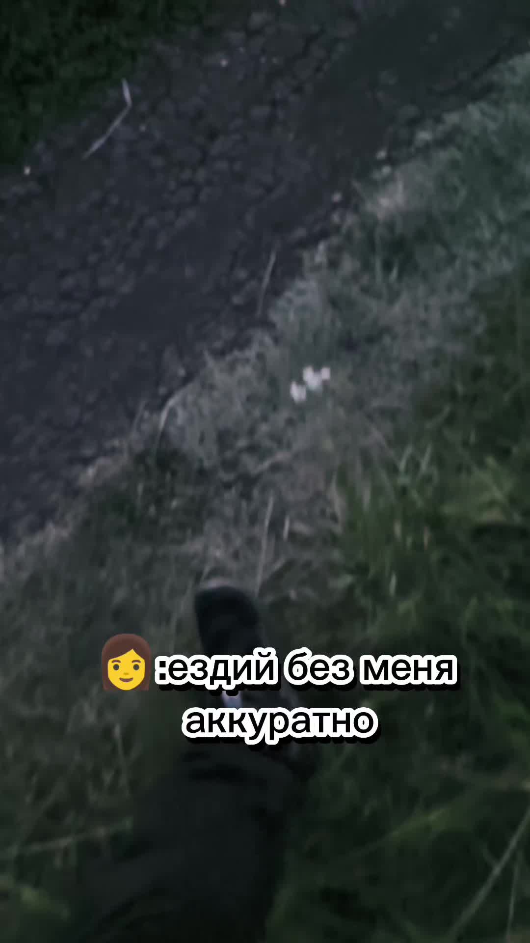 @Арбитраж трифика