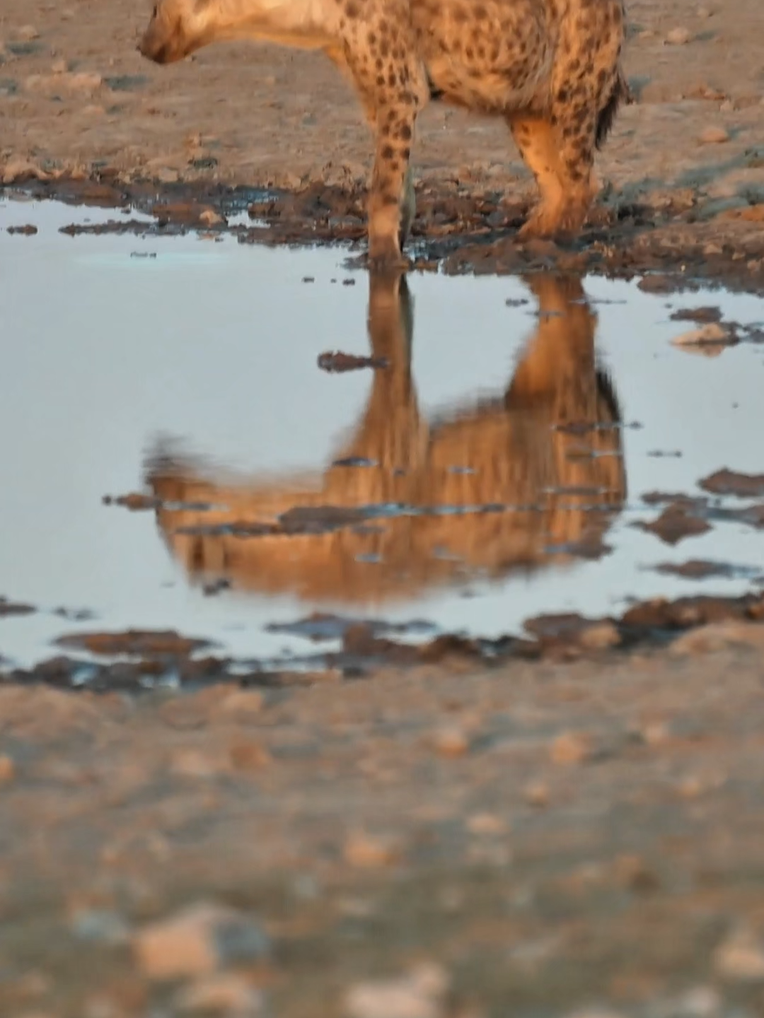 @Madbookings Travel Namibia