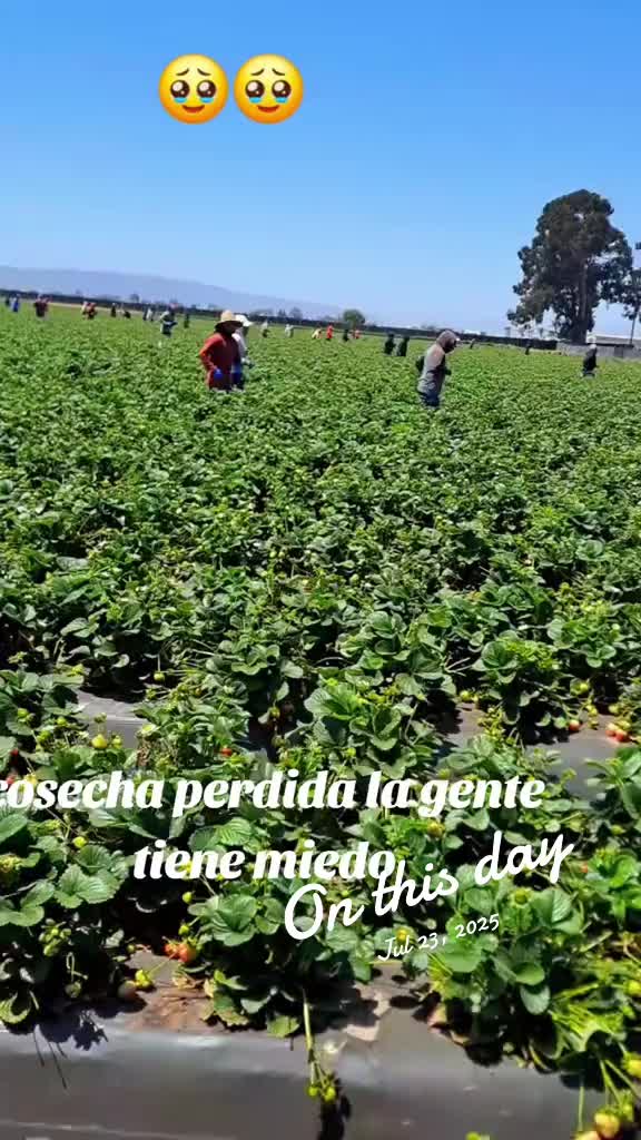 @LATZAC