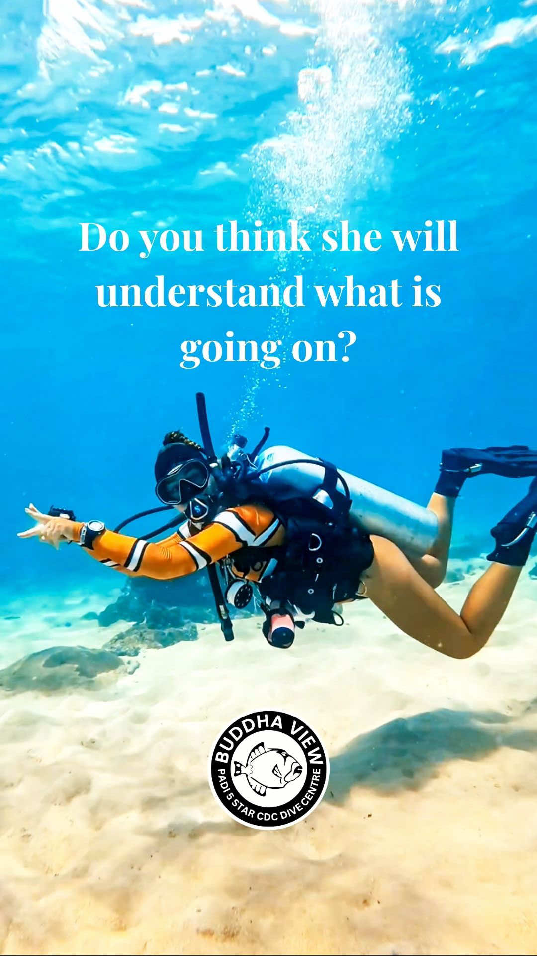 @Buddha View Dive Centre