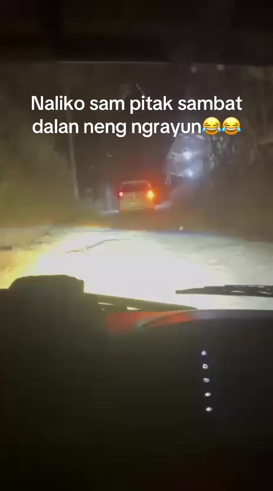 @๐๐๐จ_๐ฃ๐๐๐