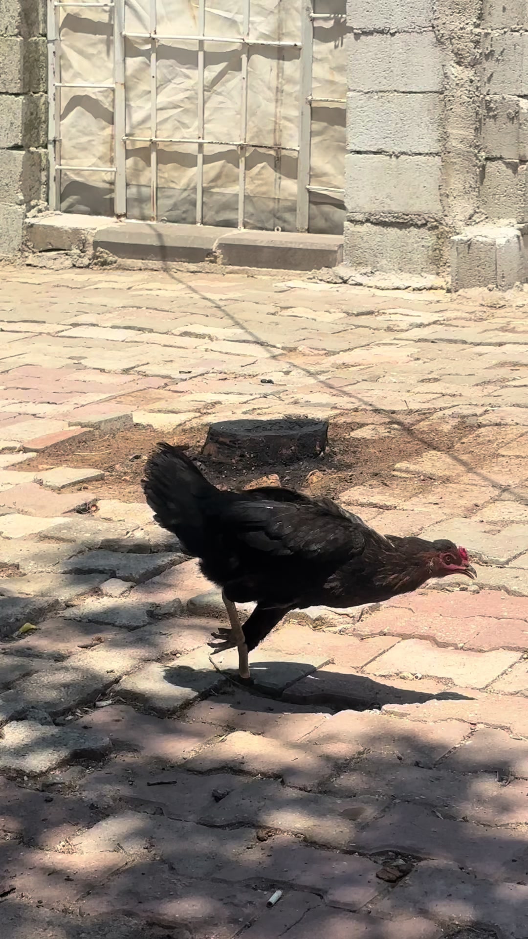 @ENES KUBİLAY
