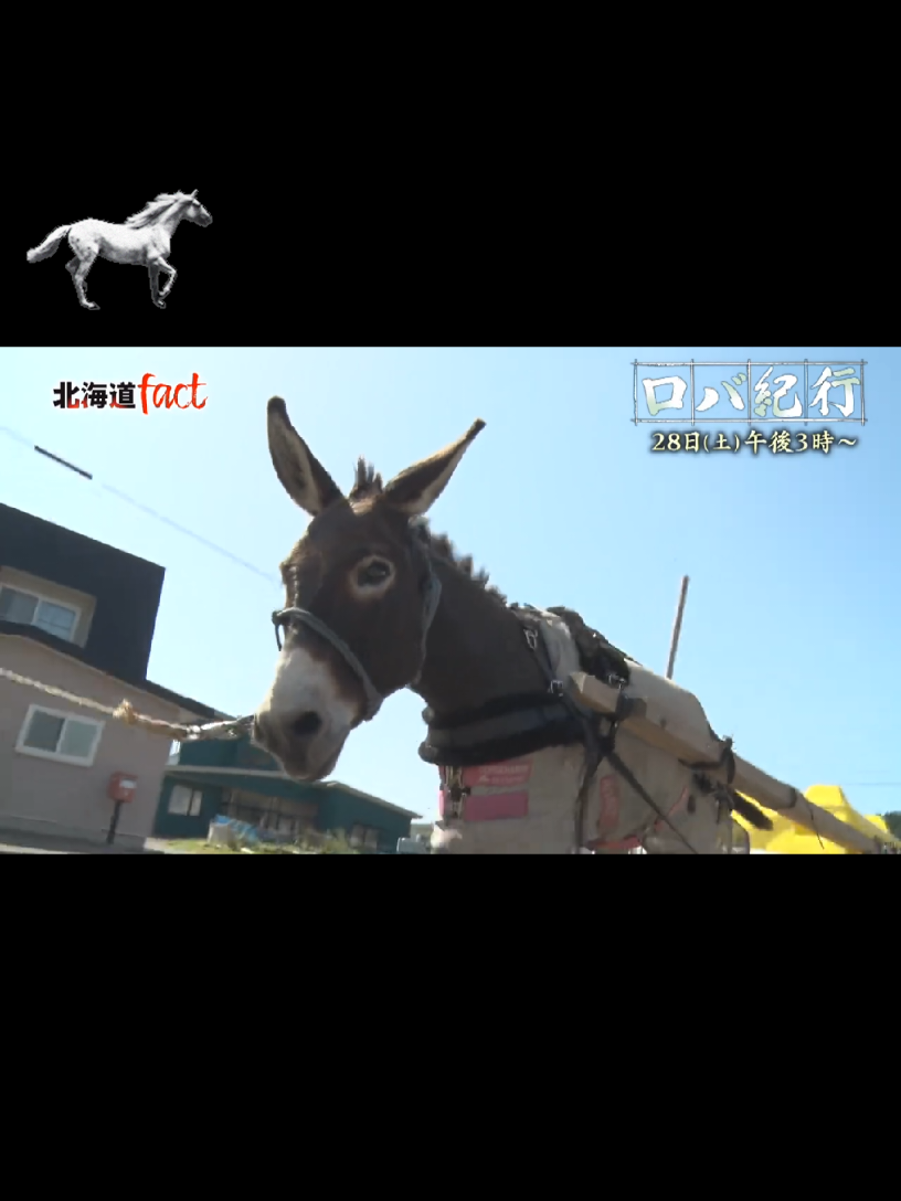 @波動砲を発射するとソレに受信が邪魔されちゃって島さんになる
