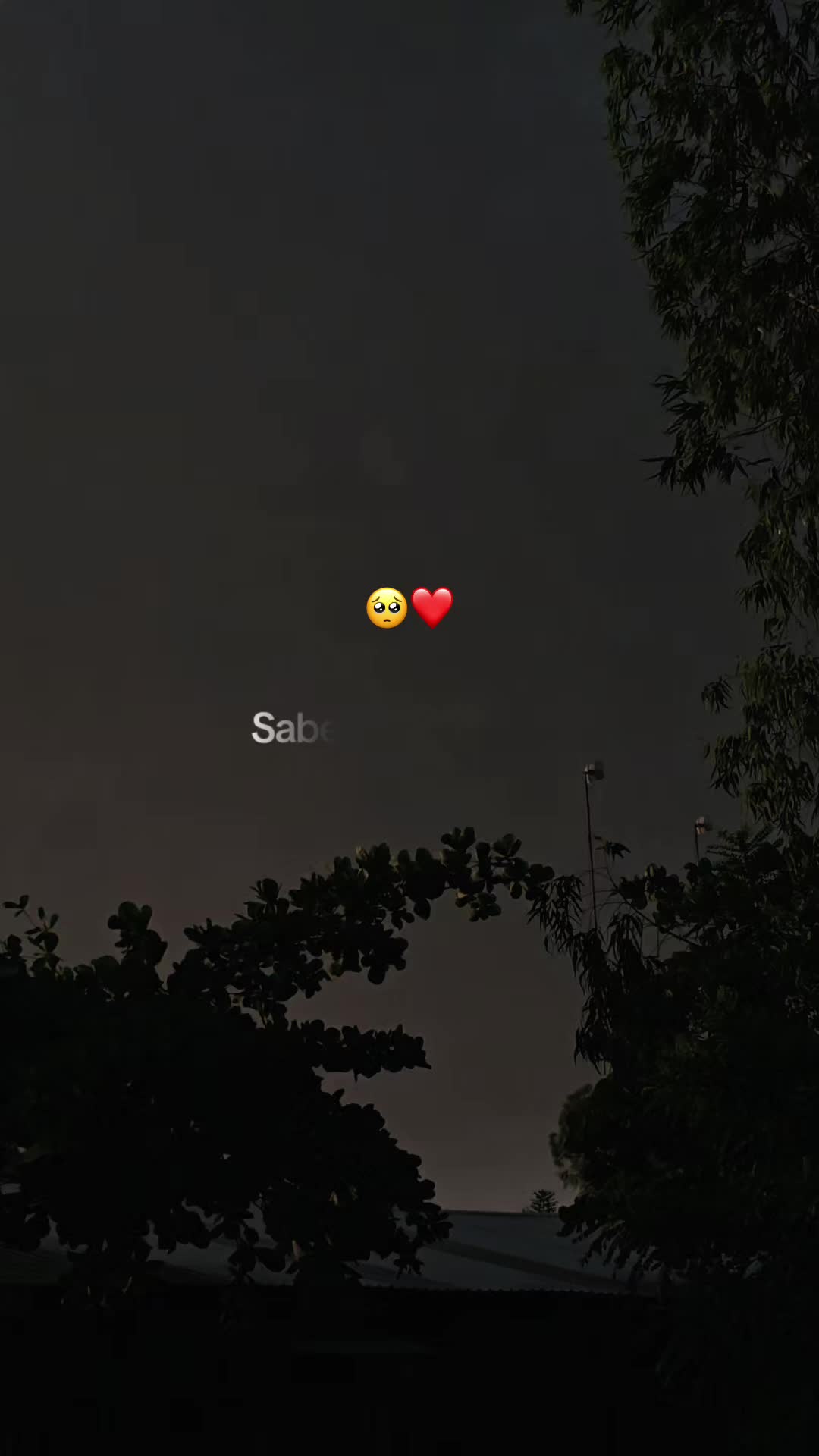 @️𑣲⋆𝓓𝓪𝓻𝓵𝓲𝓷 ᥫ᭡