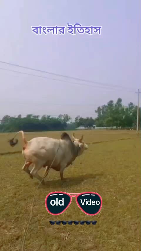 @Aynar karigor đ§đ¤