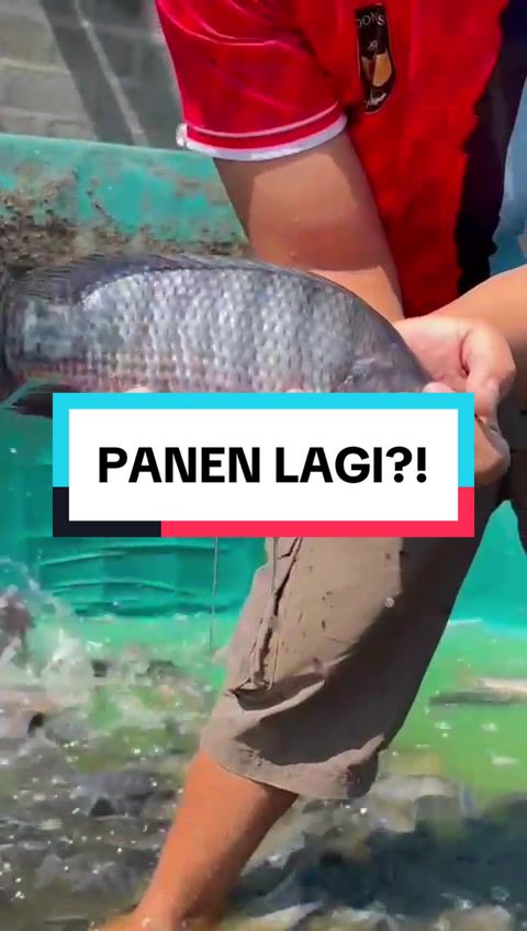 @Berkah Jaya Fish Farm
