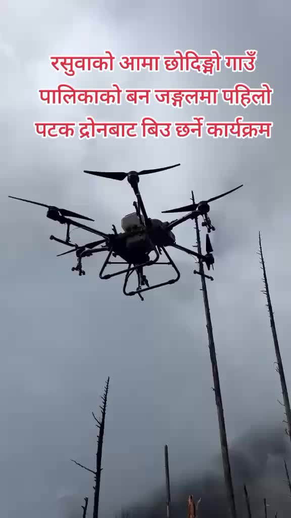 @kamdorjedm