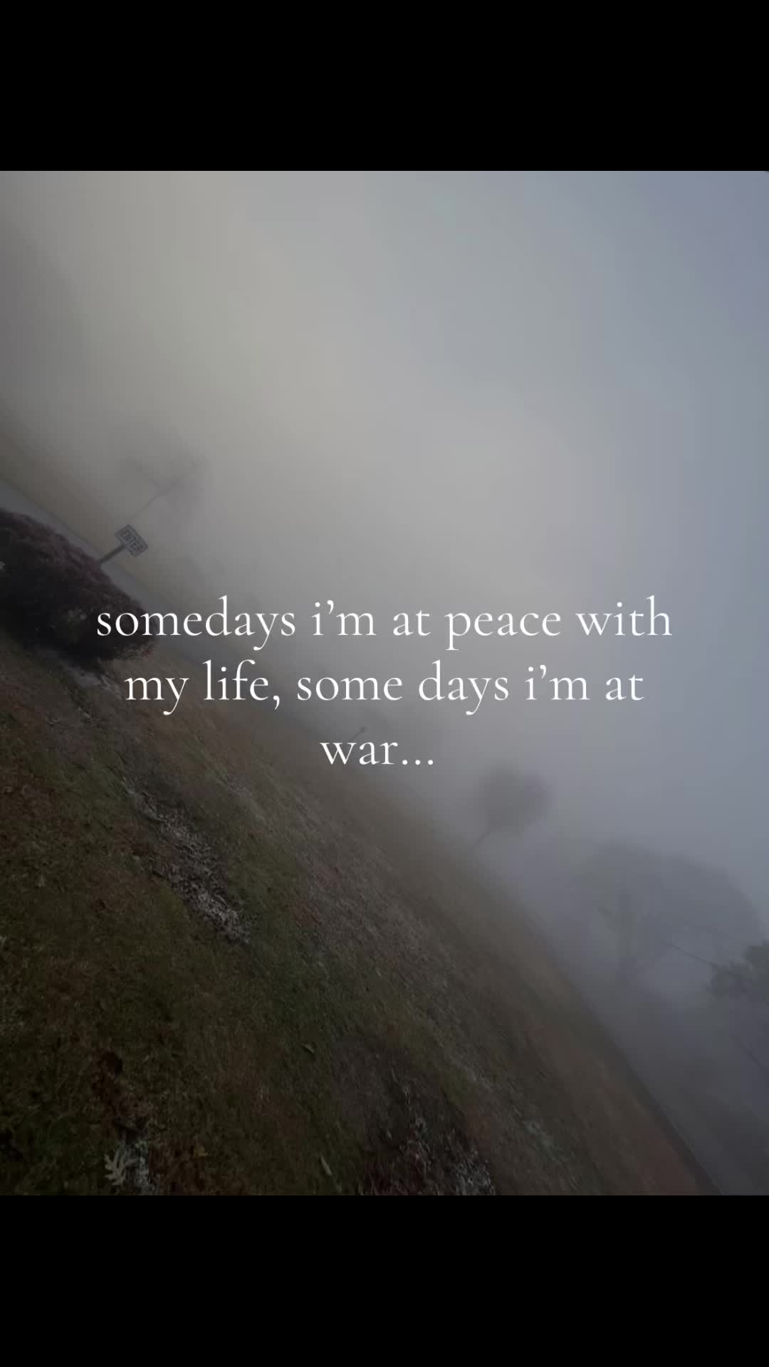 @imnothere