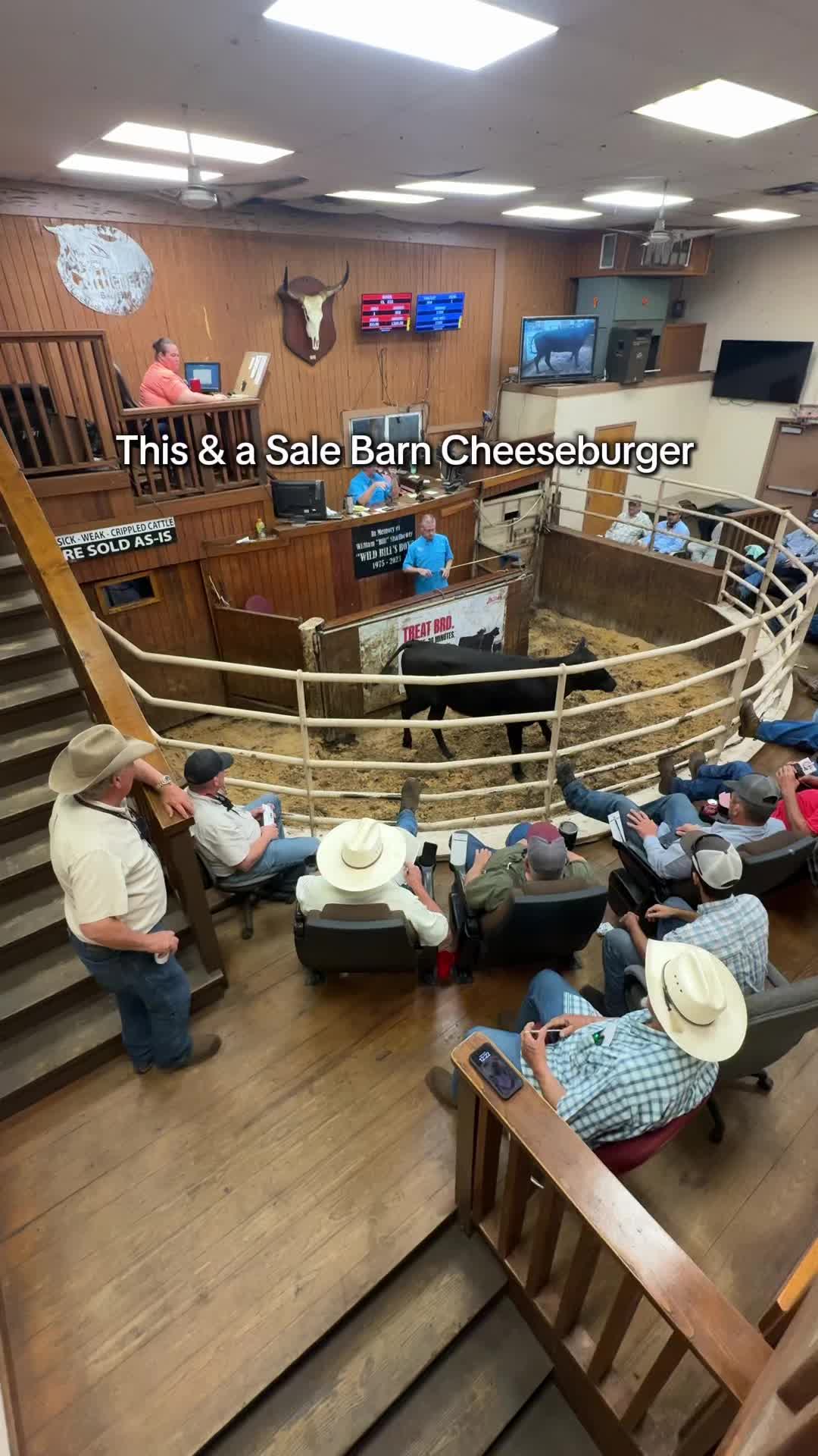 @Cattlemen’s Livestock Market