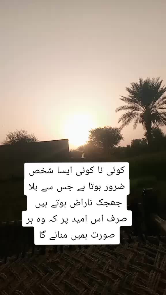 @zulfi khan
