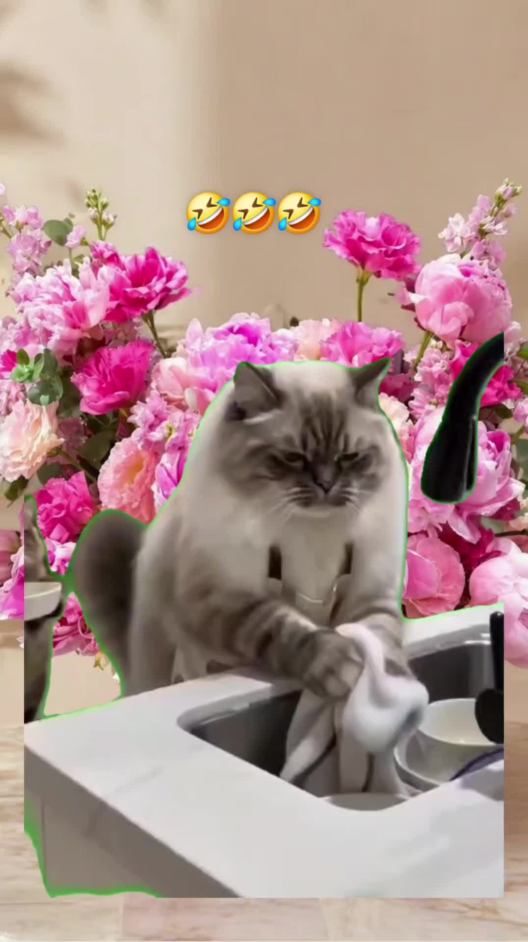 @ingridm