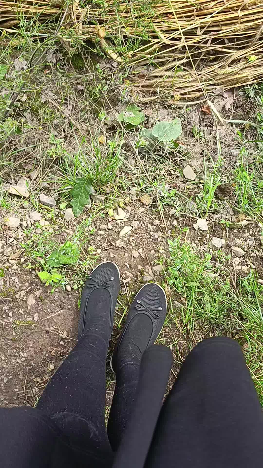 @Shelly :3
