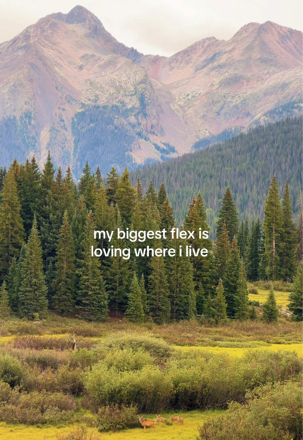 @𝓪𝓼𝓱𝓵𝓮𝓮 𖦹⋆ ˚｡✮ ⋆｡&deg; ☮︎