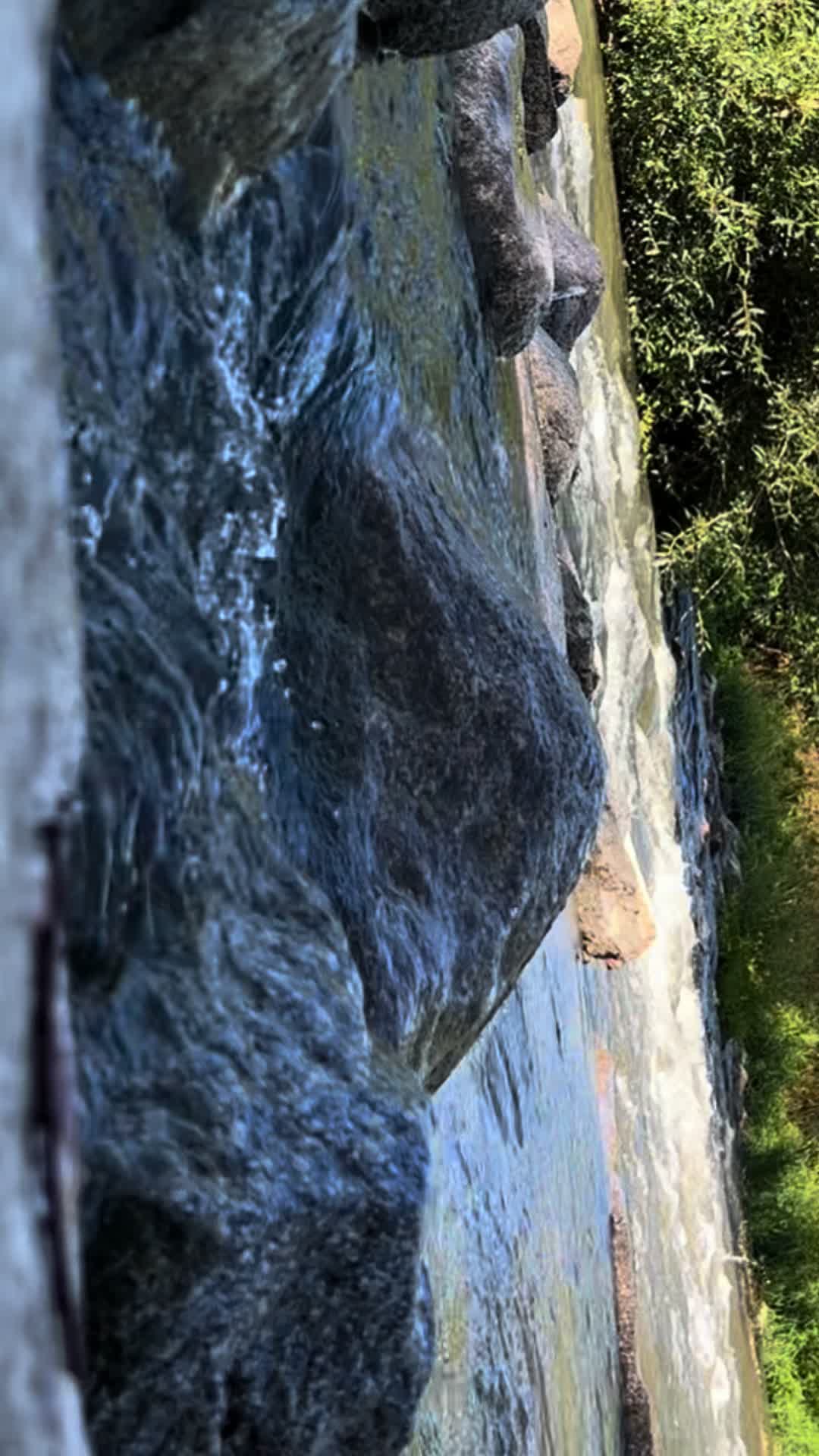 @🇫🇷RishadNoor🧿🌿رشاد نور🇦🇫