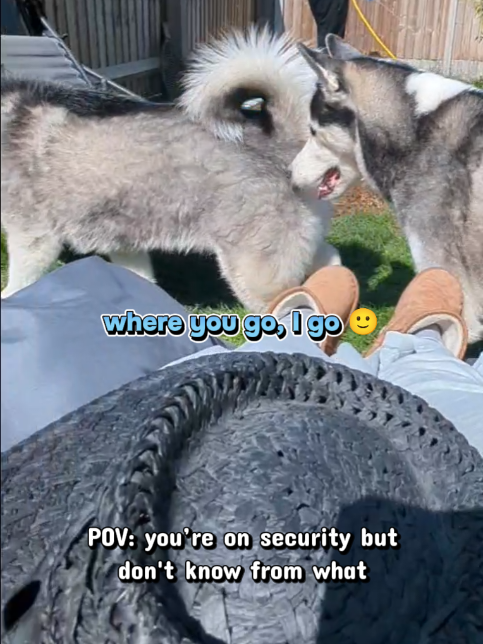 @Freya & Kuma