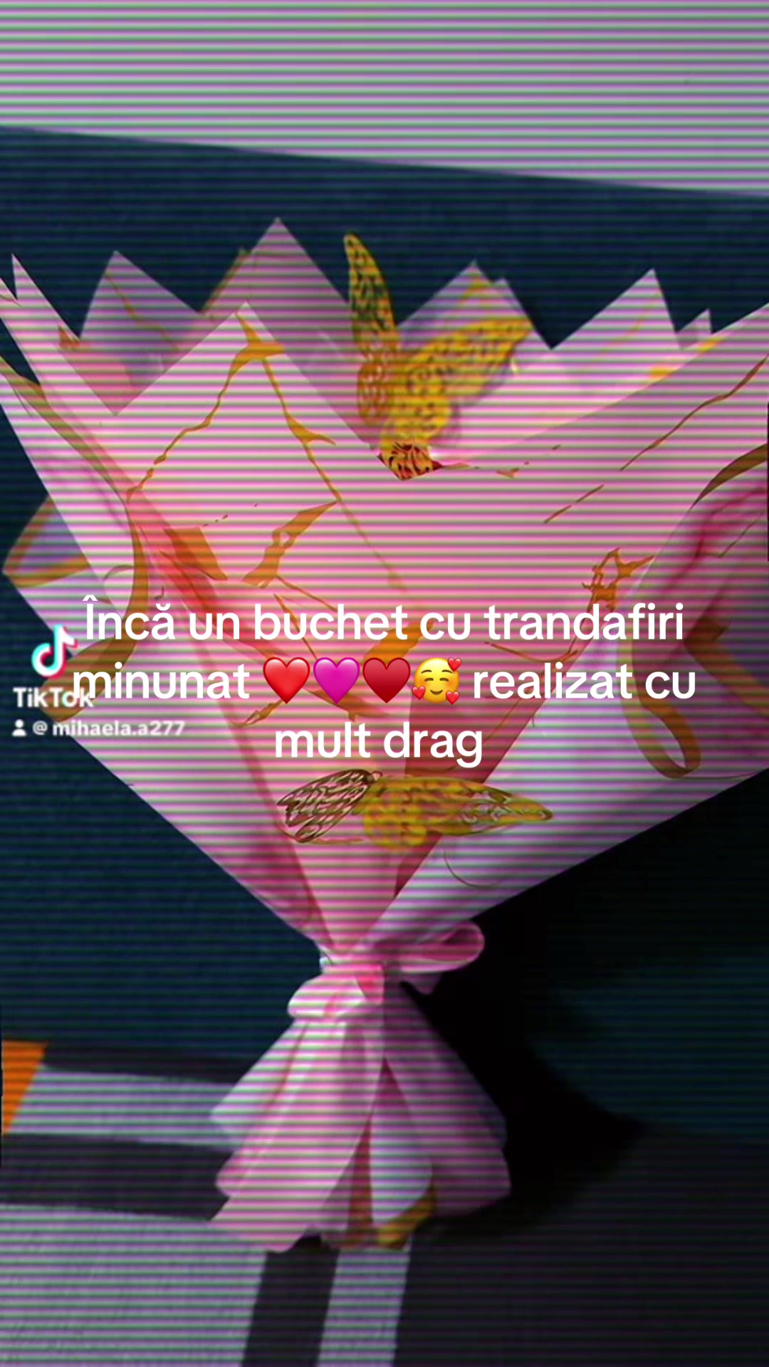 @❤️🔥AndreeaMiha💞