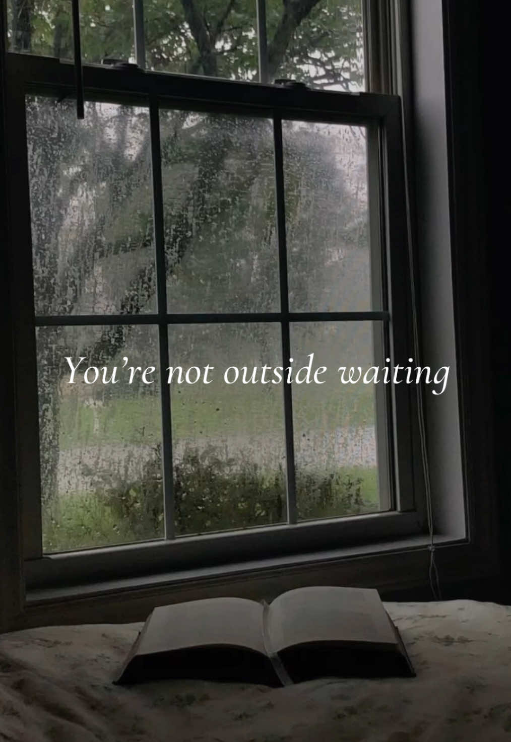 @🎀