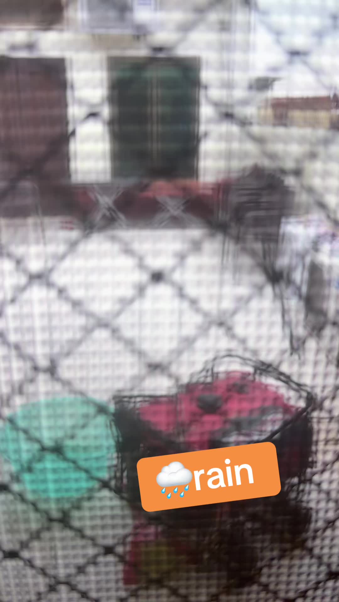 @Api ji UK 786 ❤️❤️🇬🇧🇵🇰