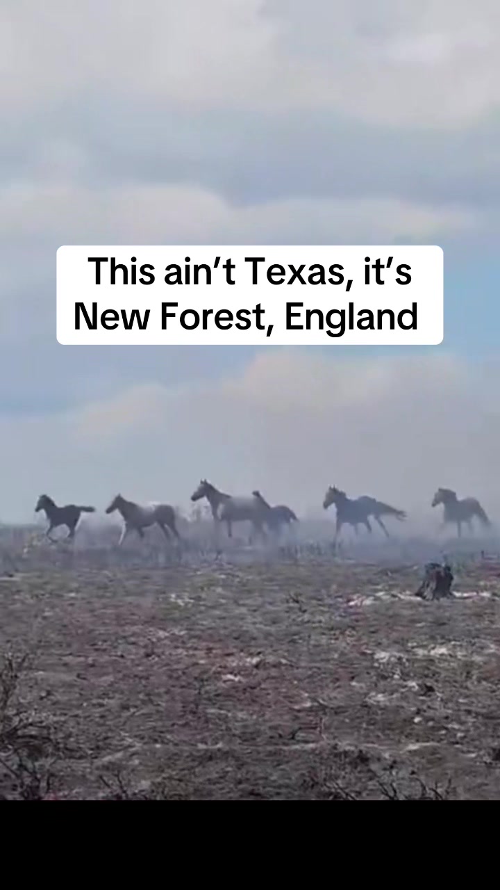 @Greenpeace UK