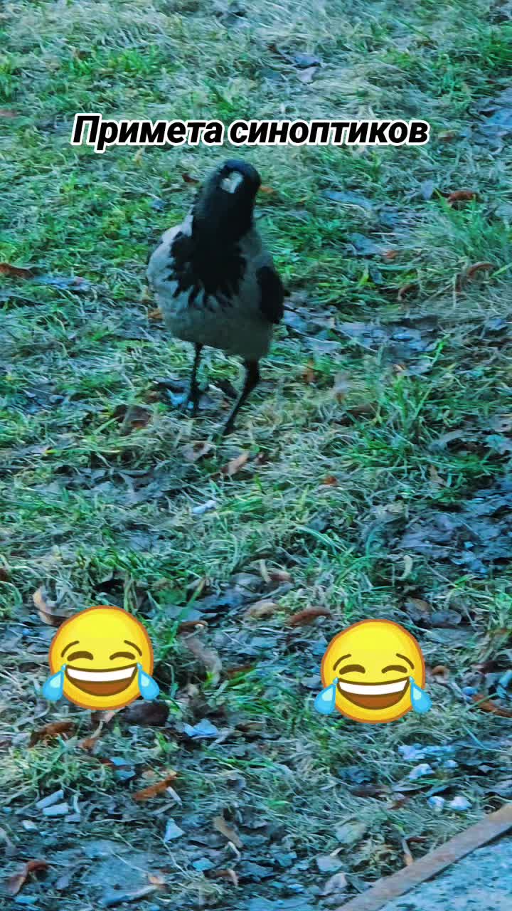 @♊️𝐒𝐄𝐑𝐆𝐄𝐘♊️
