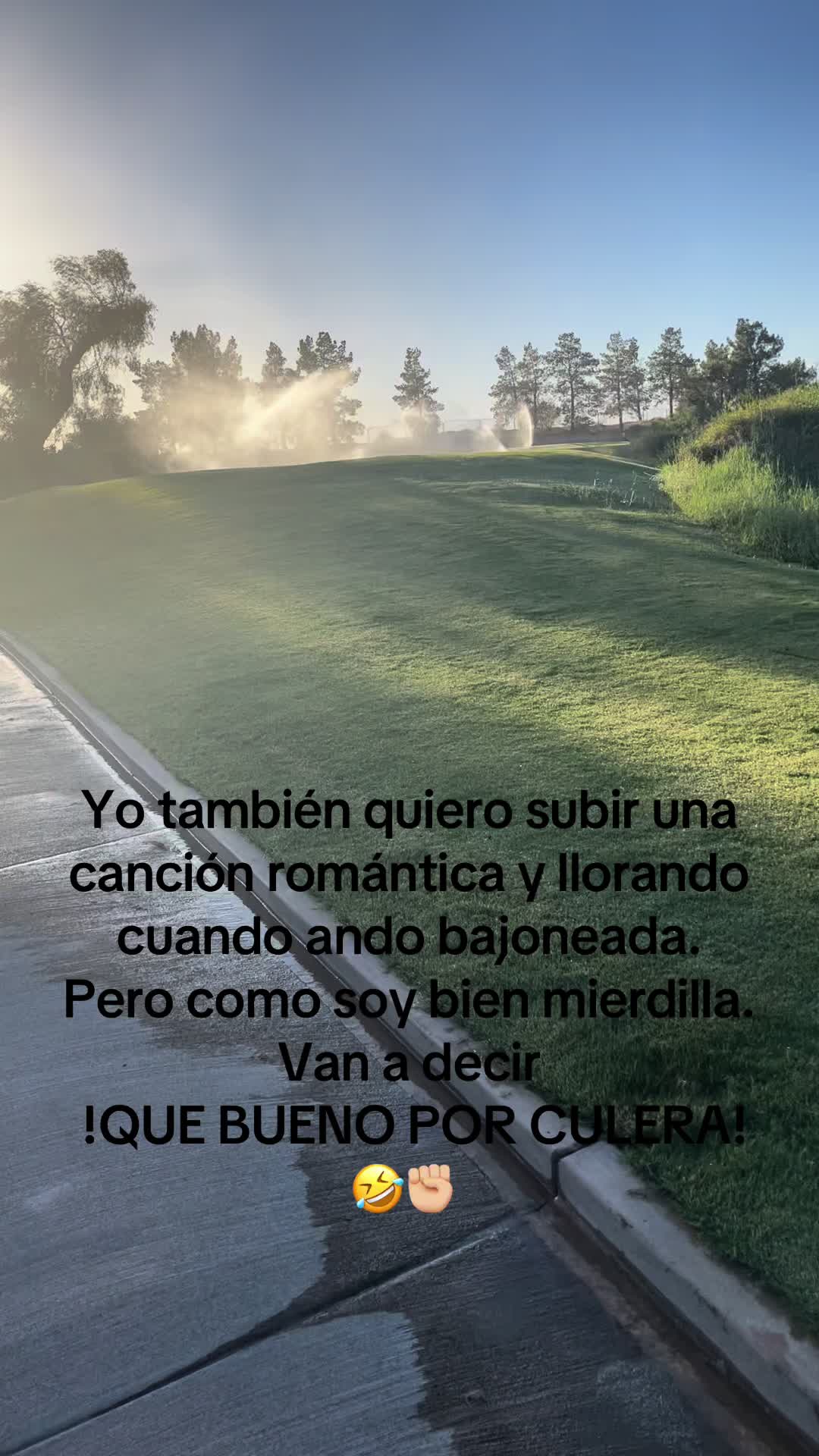 @patymaldonado671