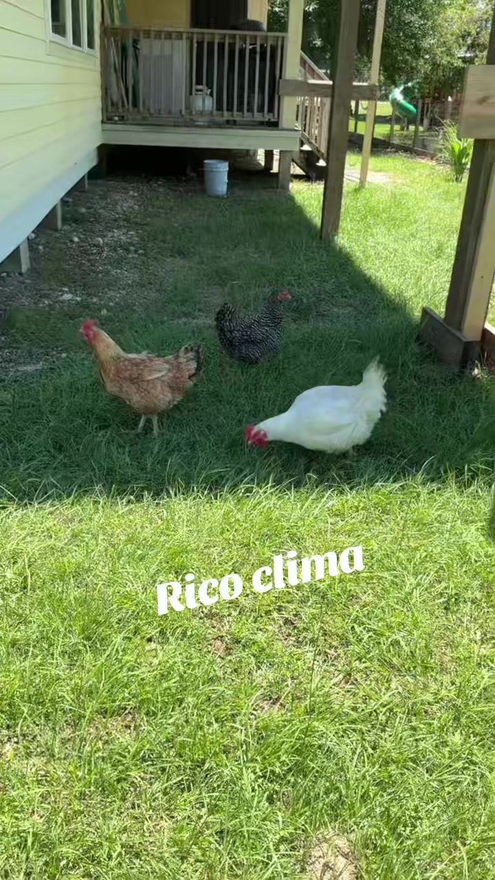 @Azucena Castillo