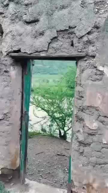 @griss359