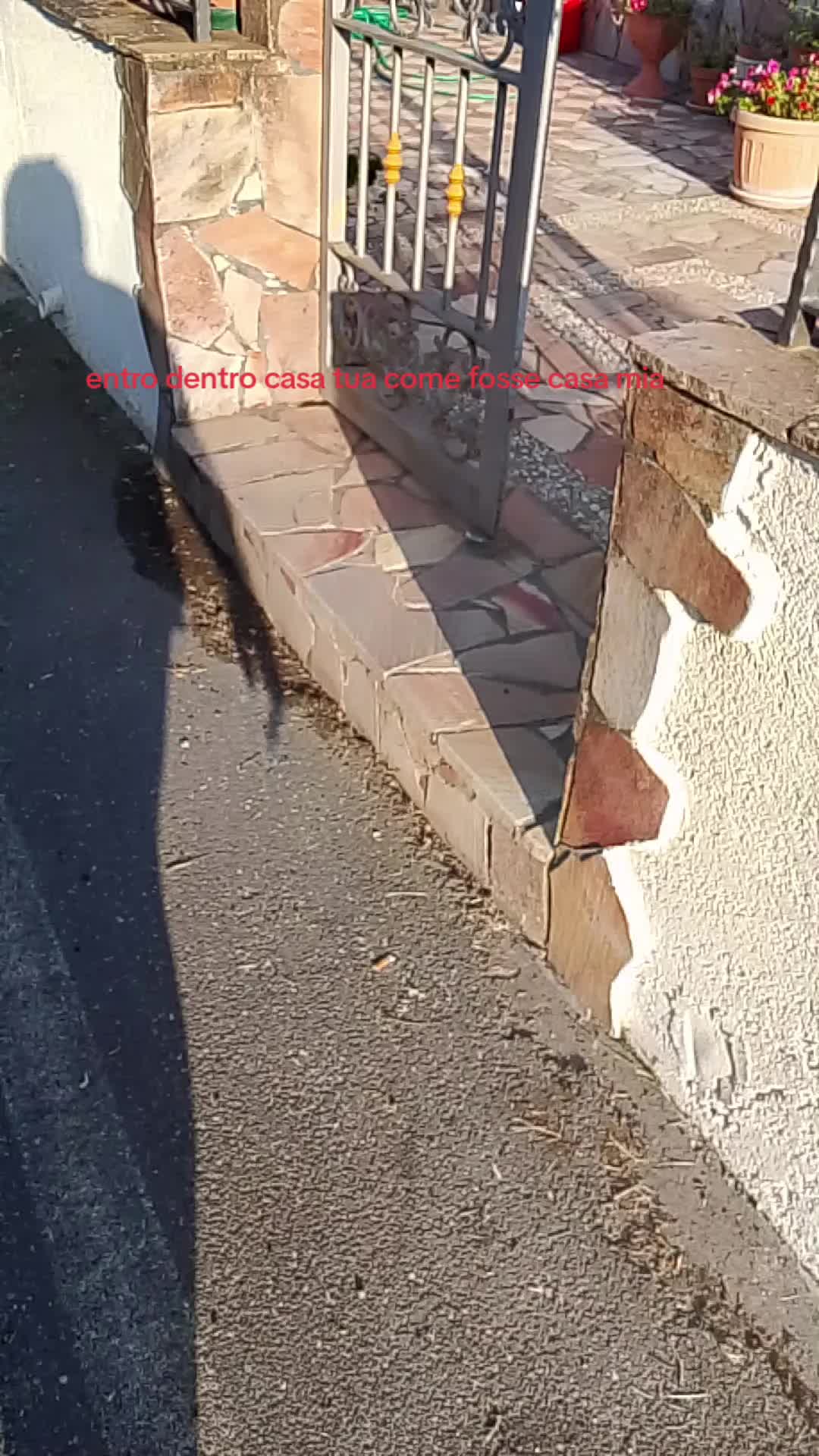 @🚬