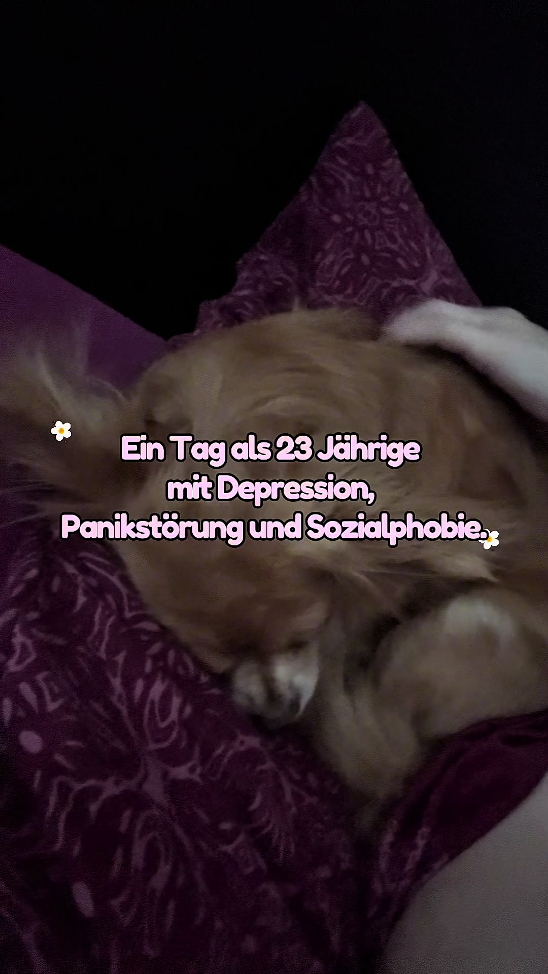 @minsun.nutrition