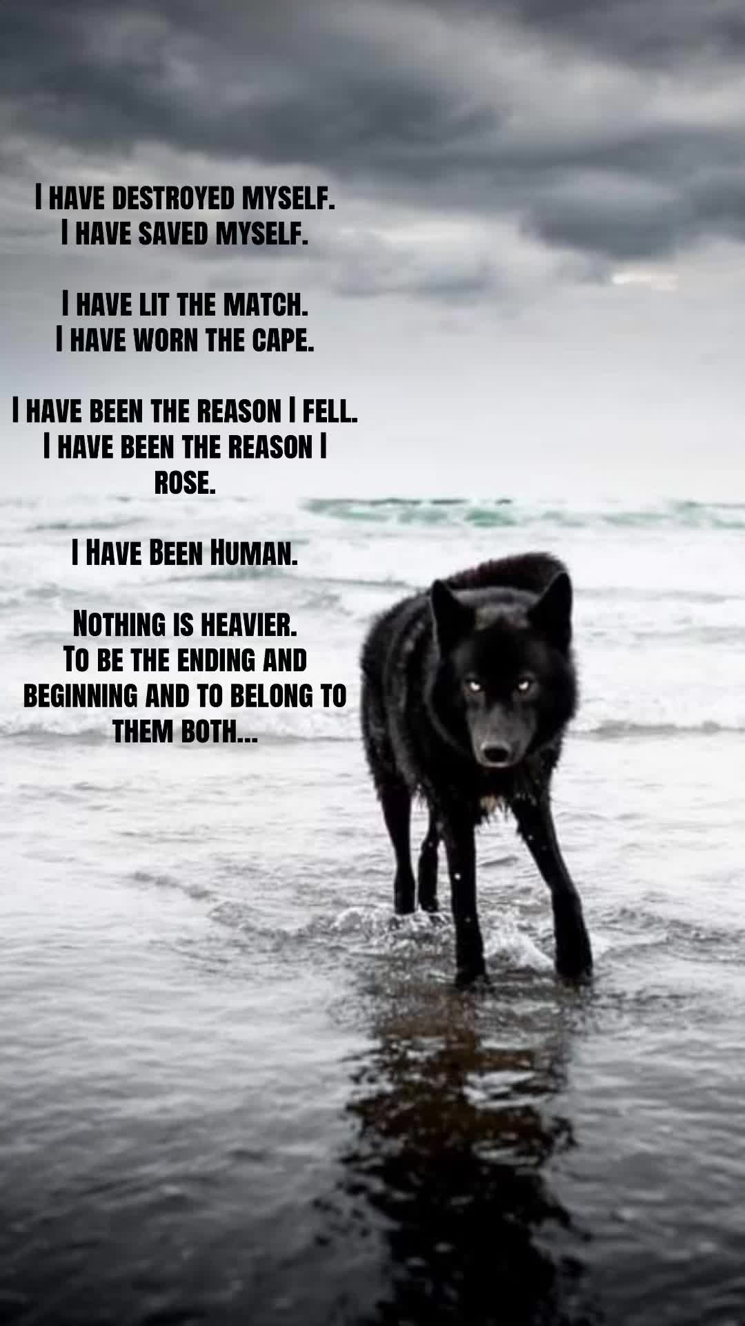 @🪬Conscious_LoneWolf🐺