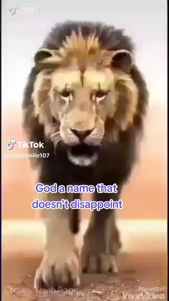 @Amauche 111