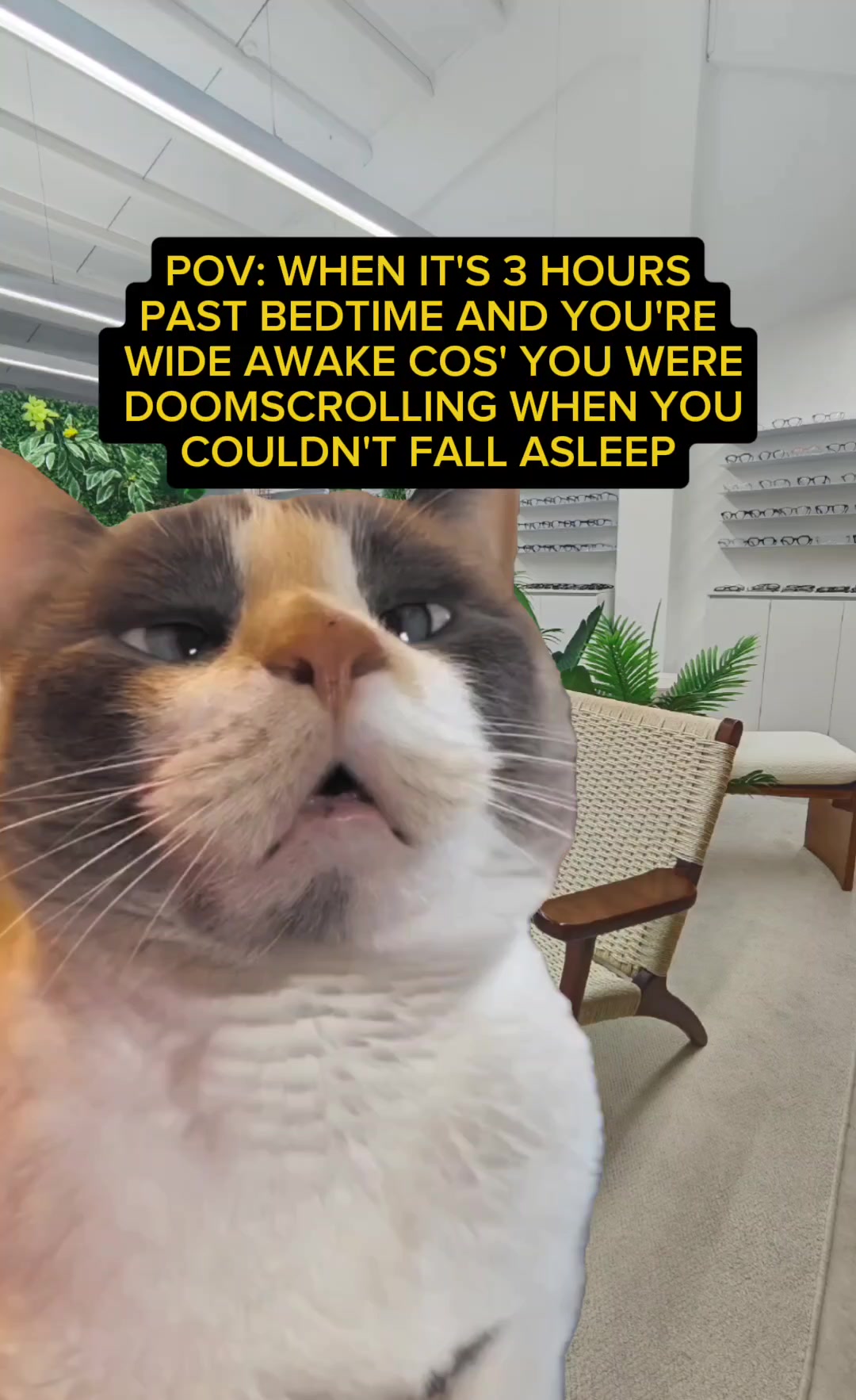 @sightonomy