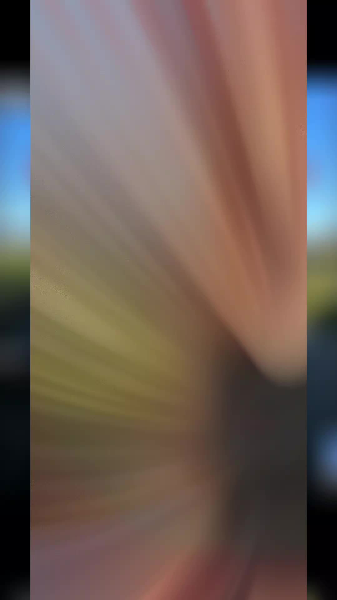 @ScammerHunter