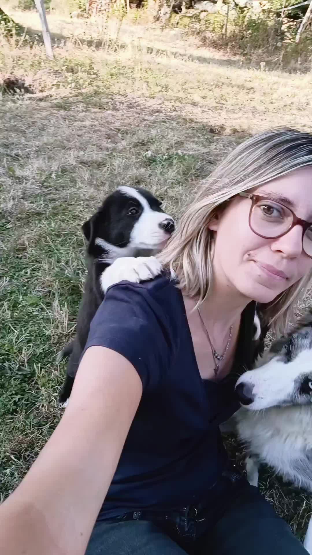 @Ludivine 🪶🐶🐮