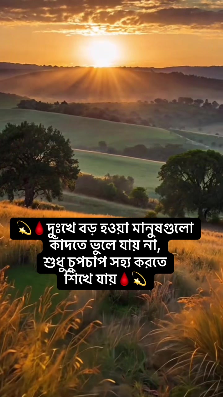 @Rabaya Dolly