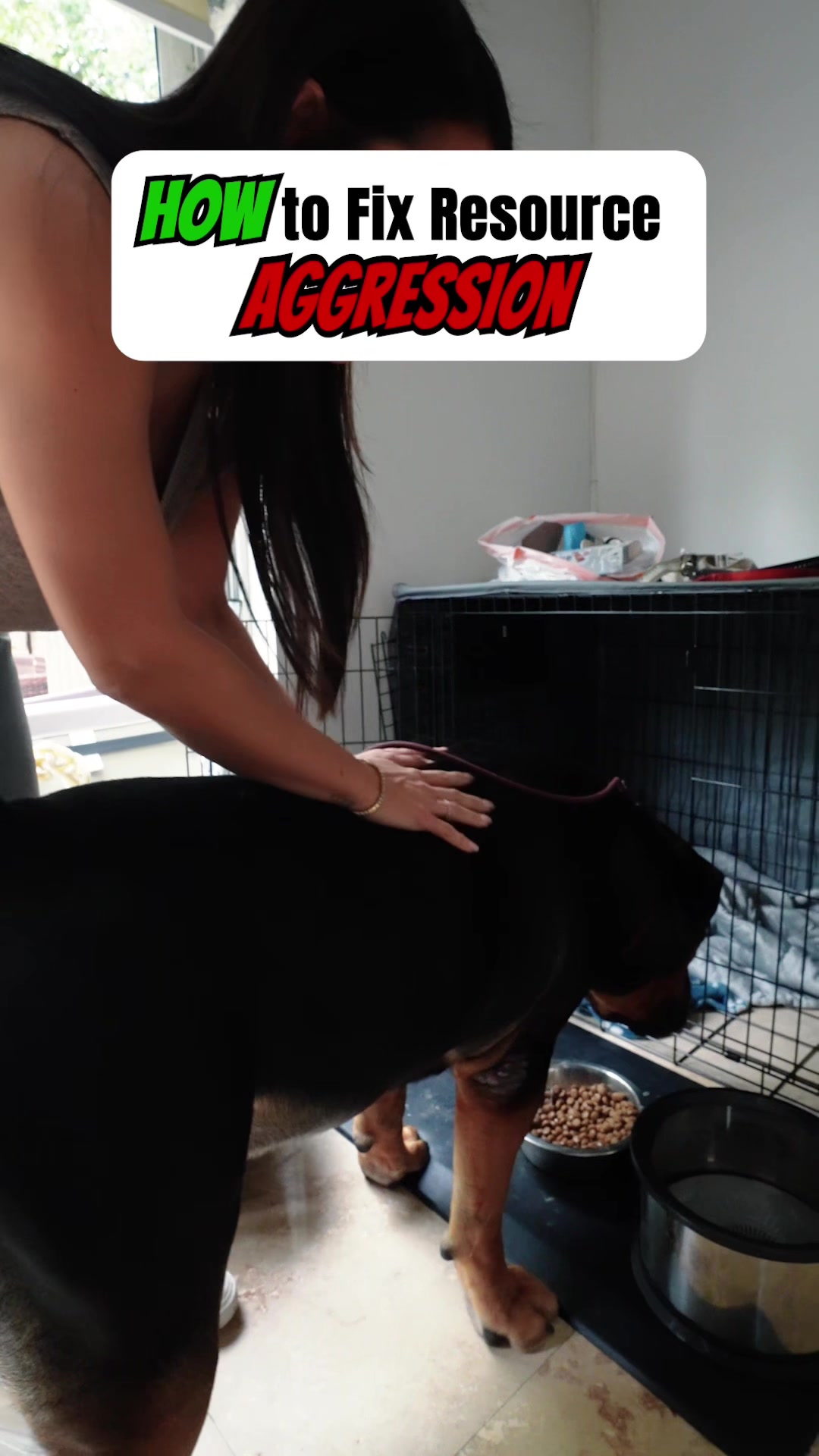 @Cali K9