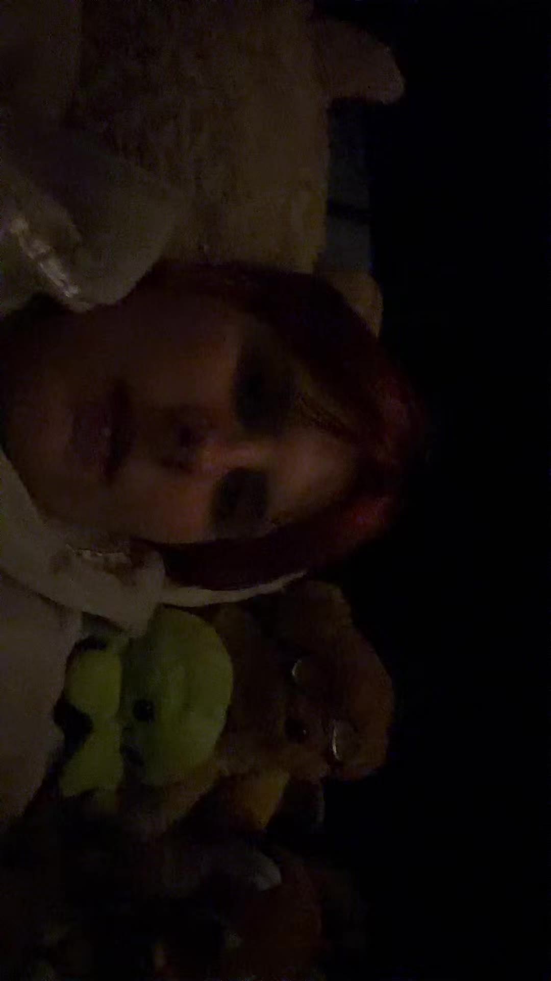 @eva_sfr.20