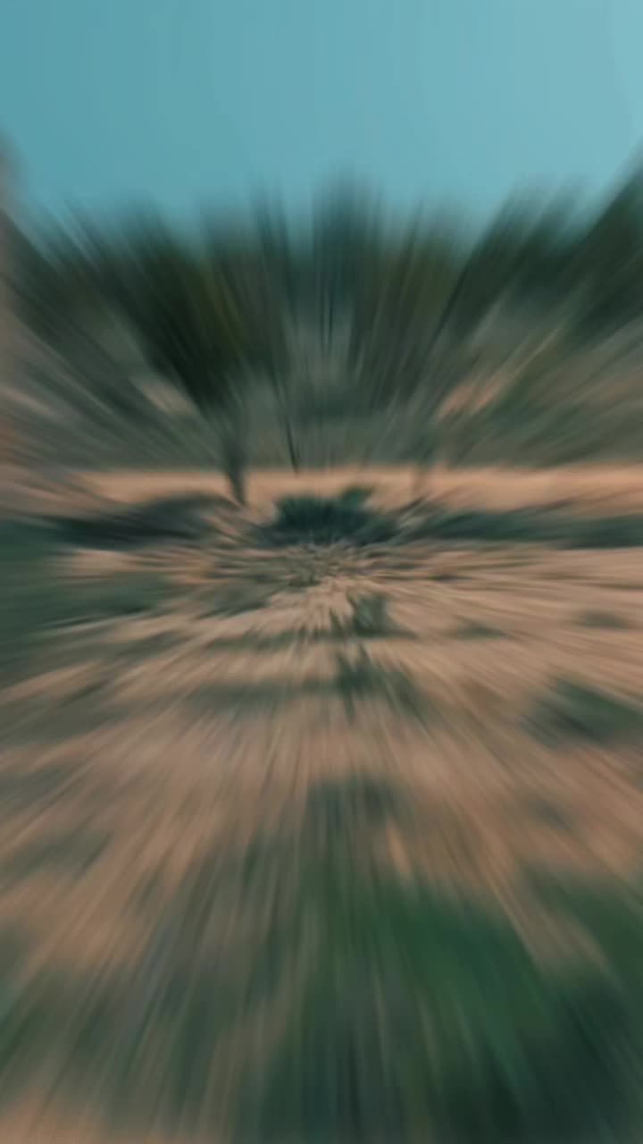 @Nomanking88