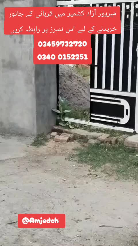 @Tahir.Kashmiri.uk