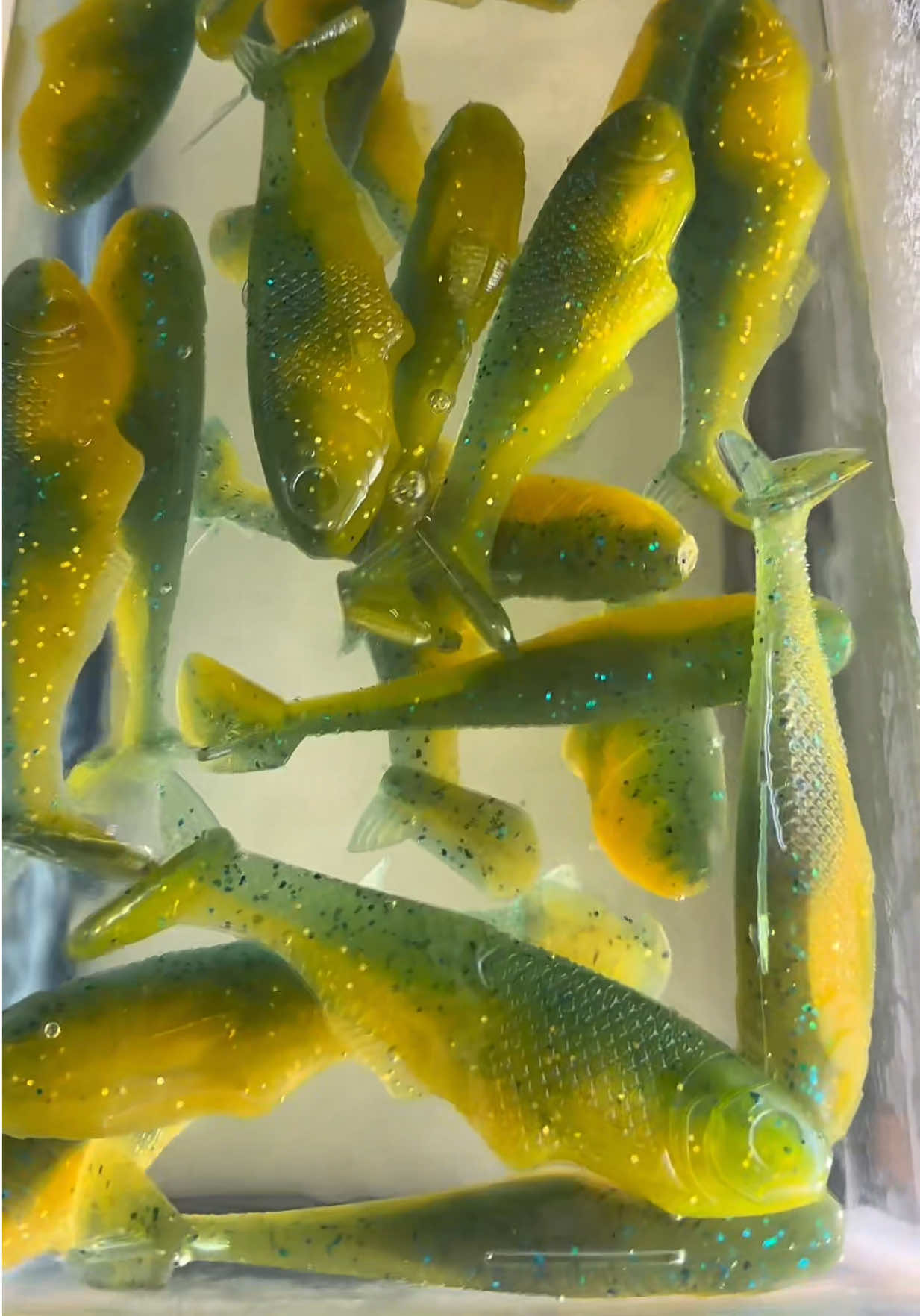 @Tacklehead Fishing