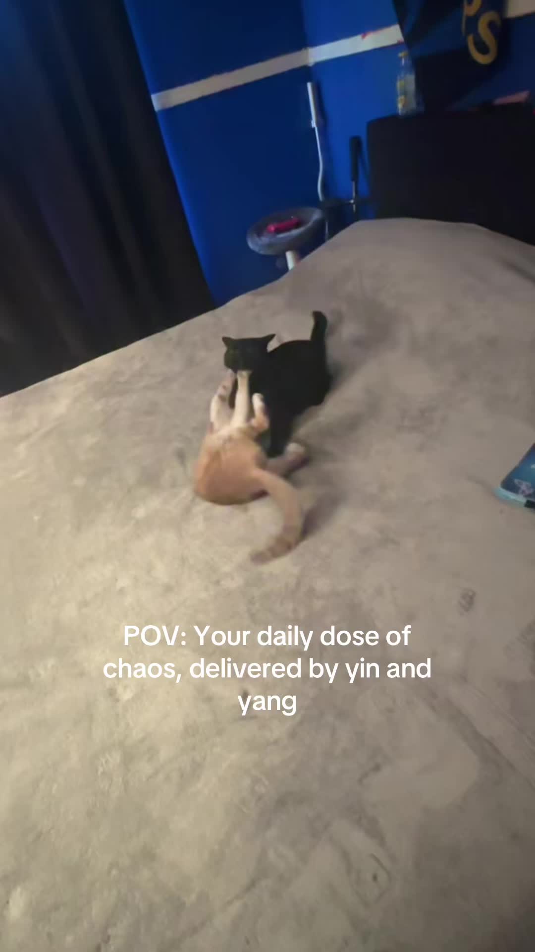 @Lumi