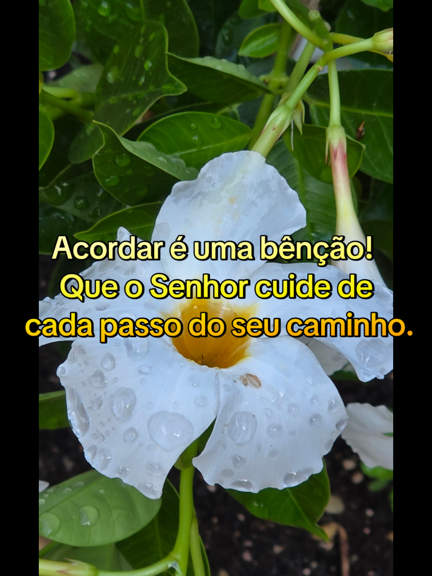 @PromessadeDeus91