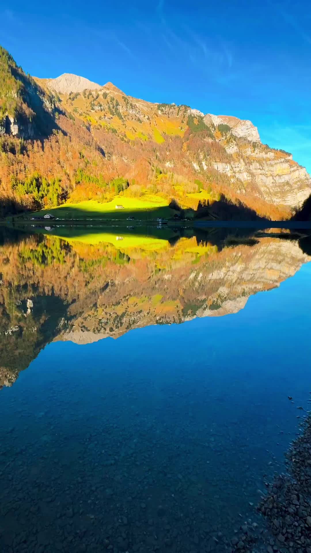 @☀️Elena🌜☘️🌾🌻🌺