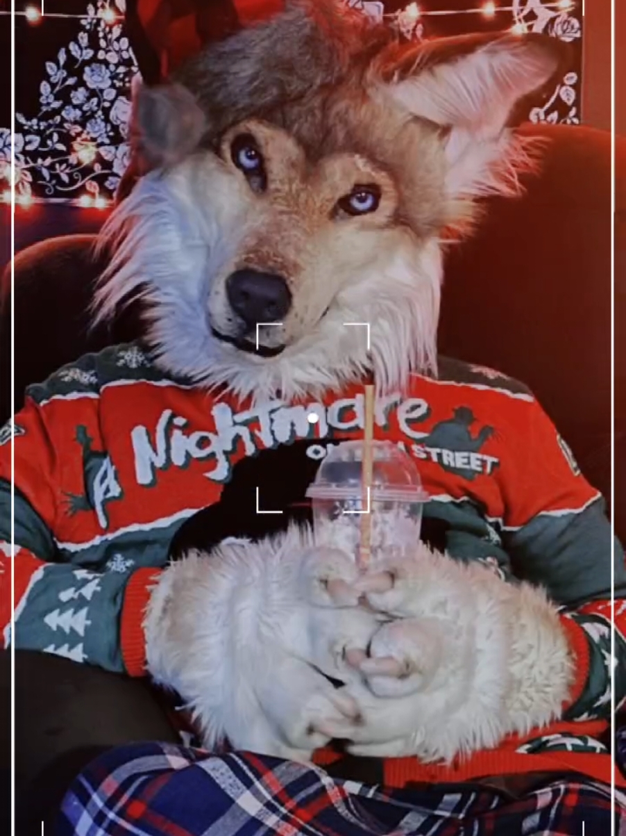 @SaltyFox