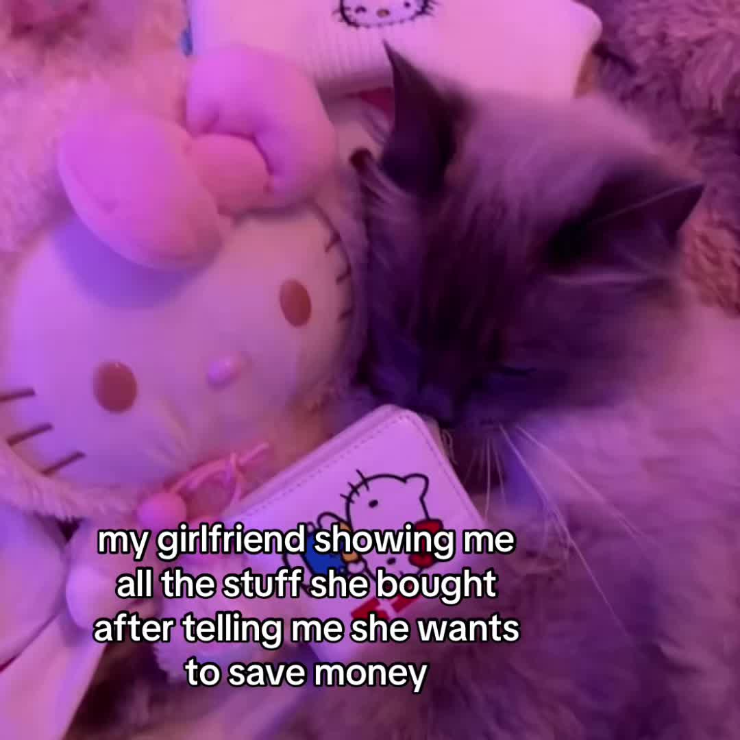 @the meow archive