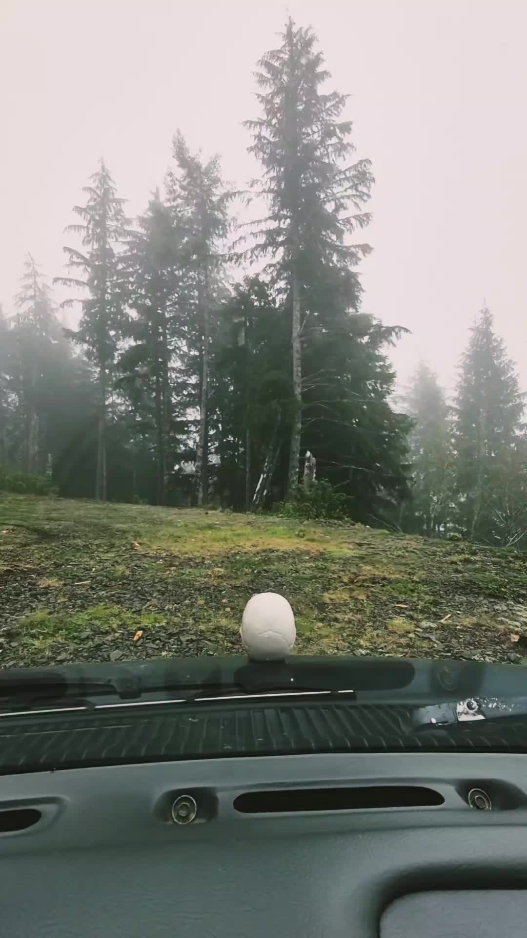 @TesticleezOfTroy