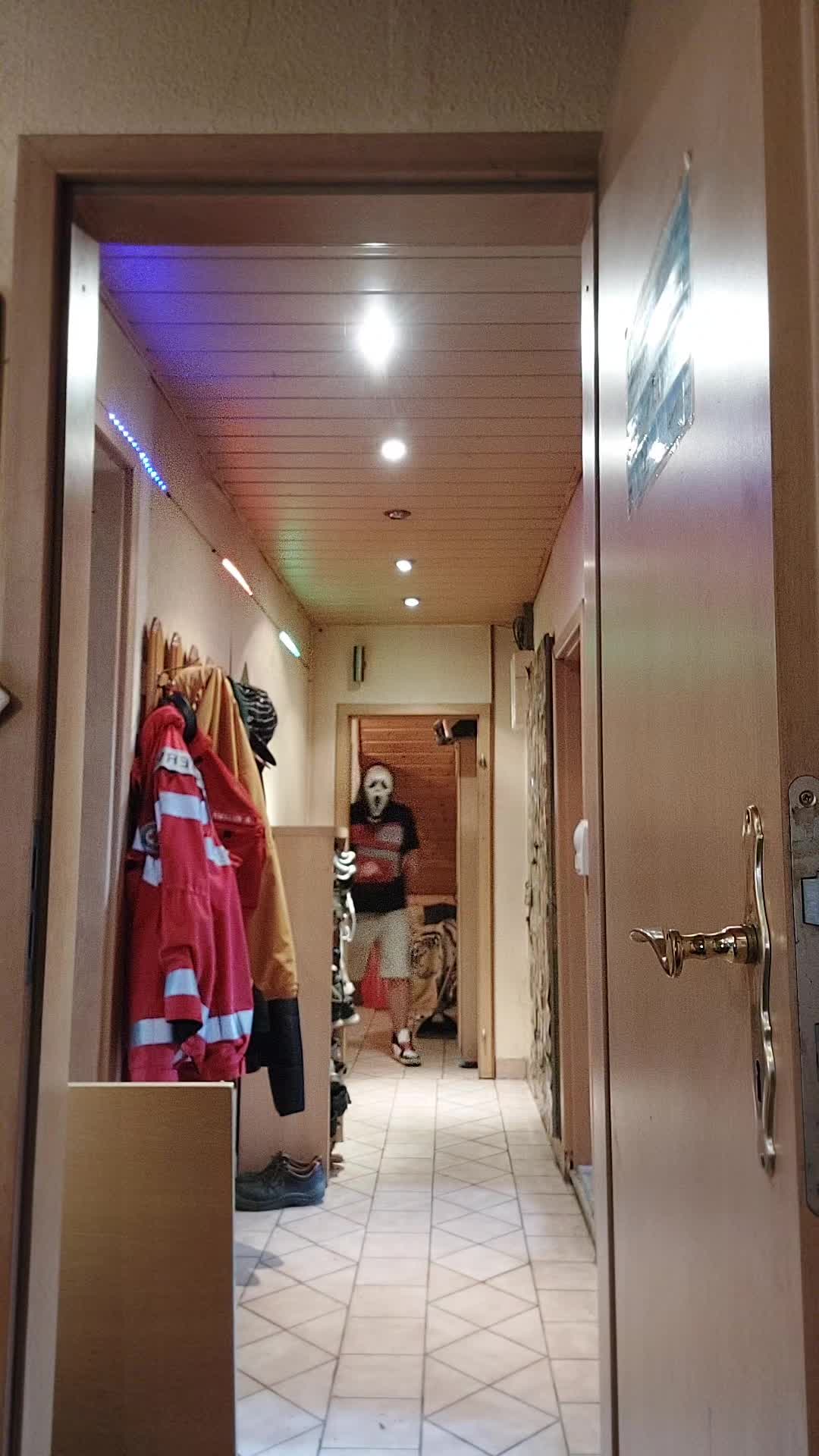 @DANI🚪🐈🍻