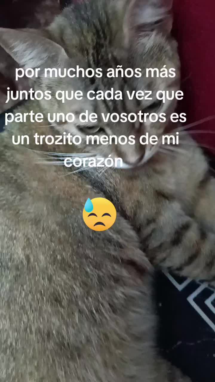 @Vero Jimenez Ferrer