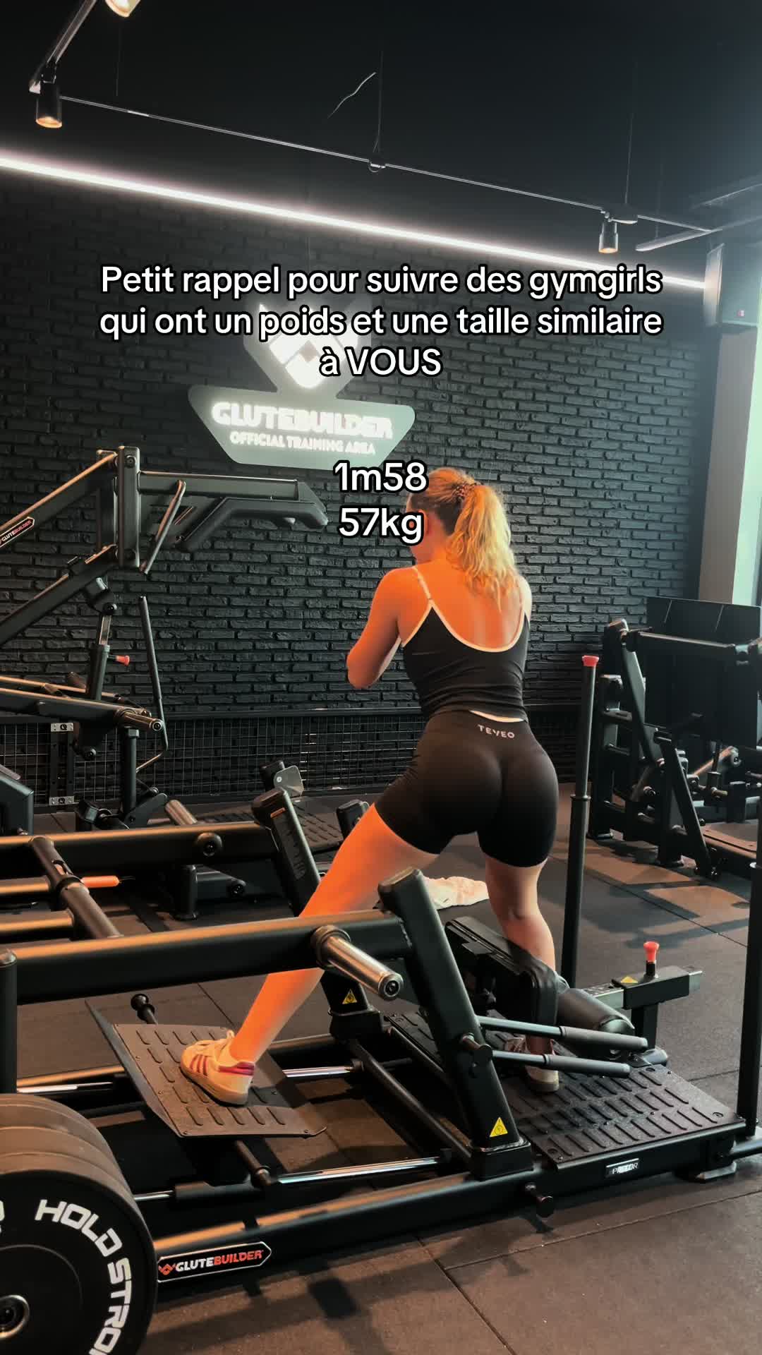 @labrisssse