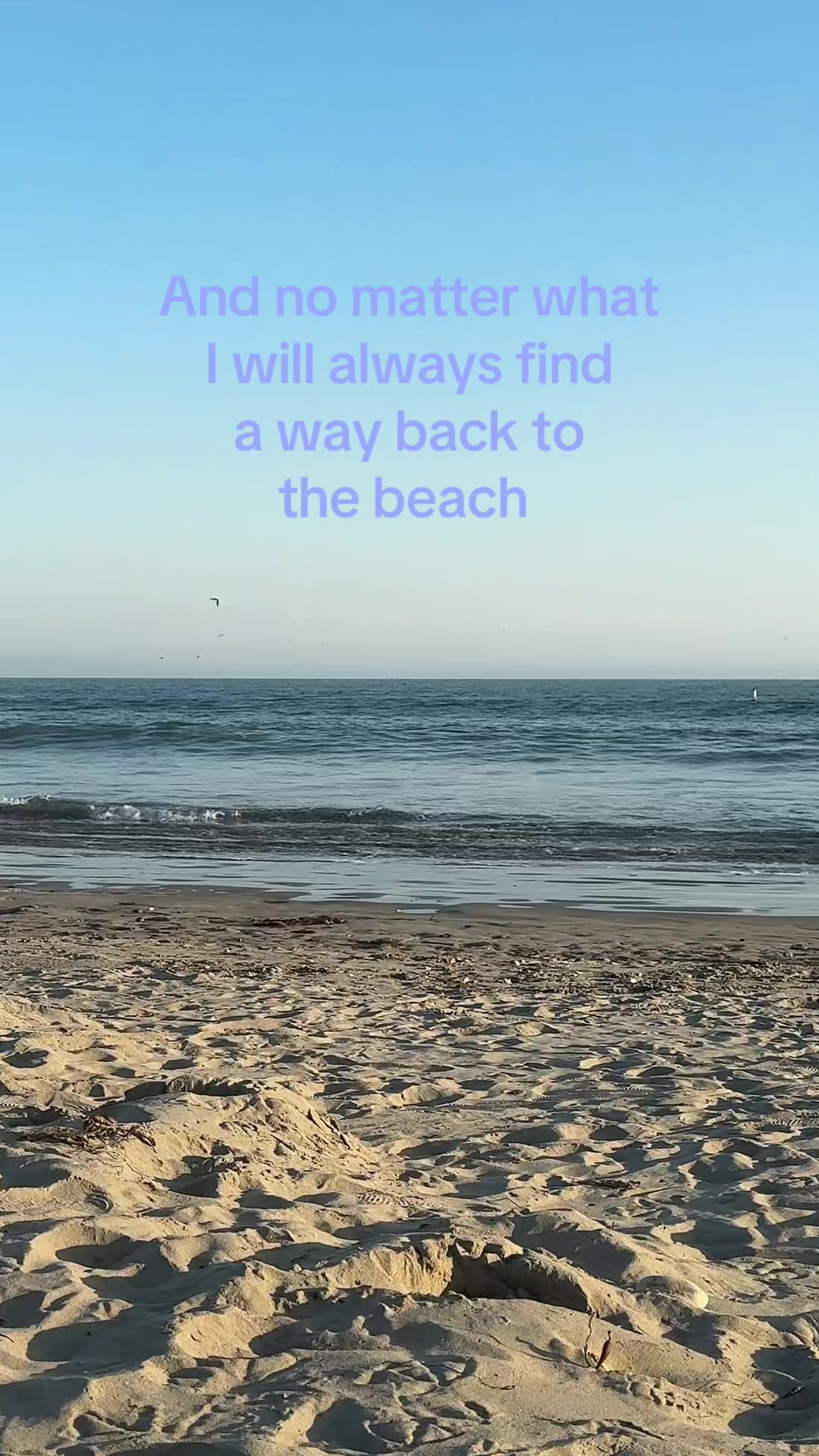 @haleyjewel💫
